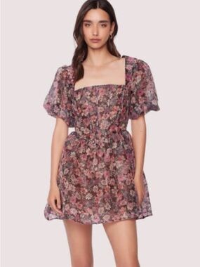 Sheer lined Babydoll floral mini dress LOST and WANDER NWT